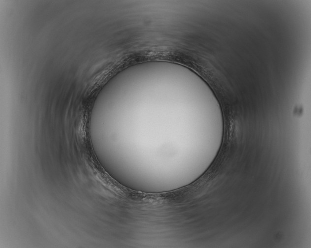 X0000115301250200911161649