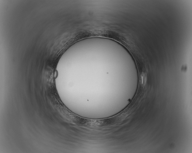 X0000115301251200911161649