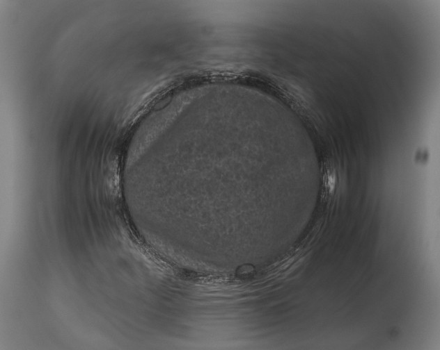 X0000115301252200911161649