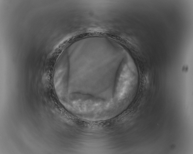 X0000115301254200911161649