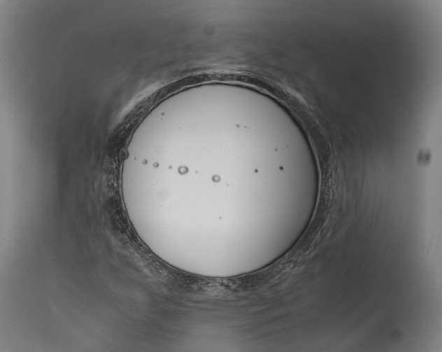 X0000115301255200911161649