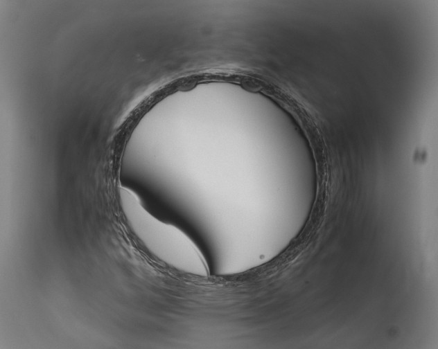 X0000115301256200911161649