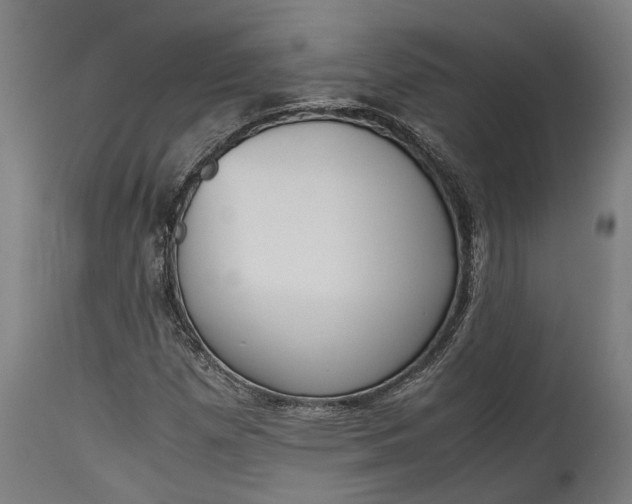 X0000115301257200911161649