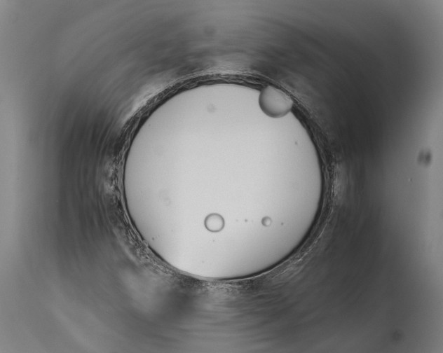 X0000115301258200911161649