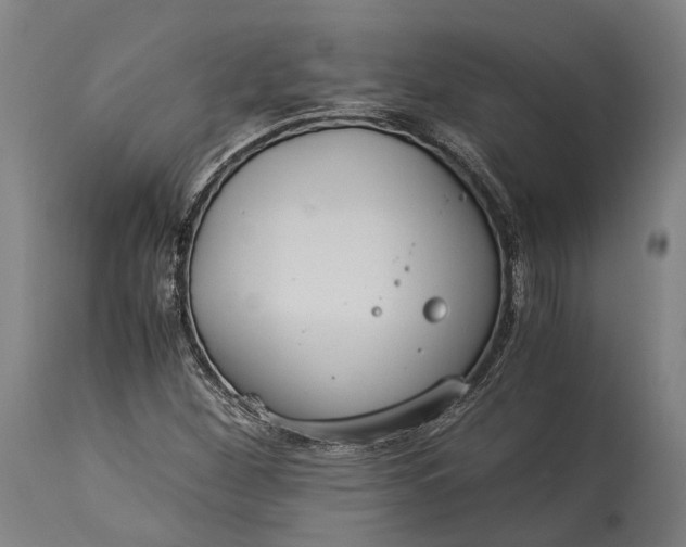 X0000115301260200911161649