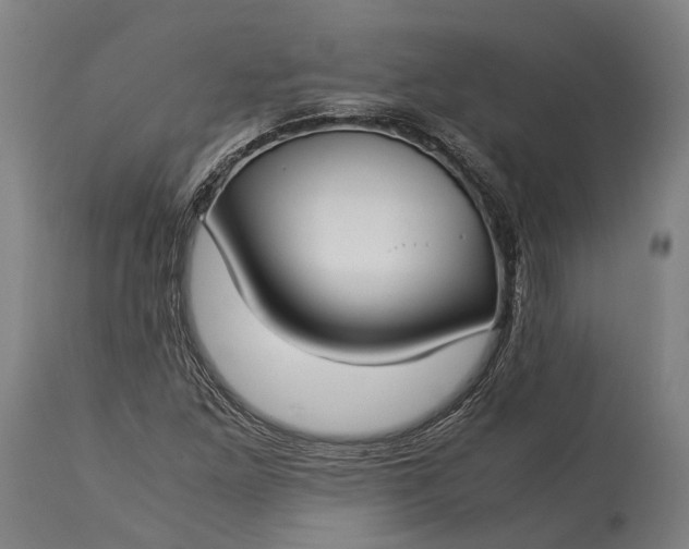 X0000115301261200911161649