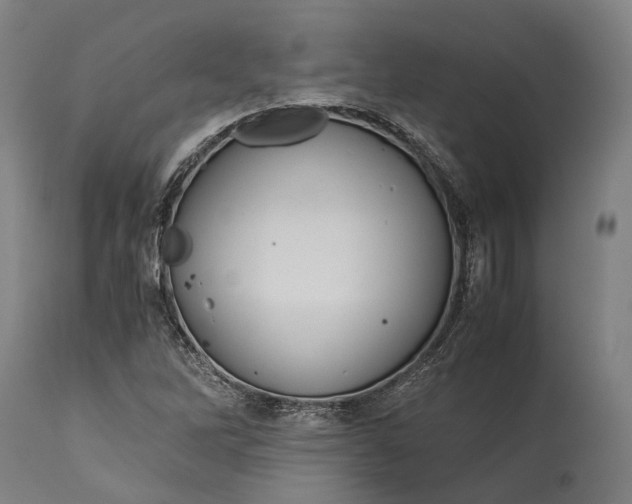 X0000115301262200911161649