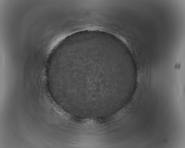 X0000115301263200911161649