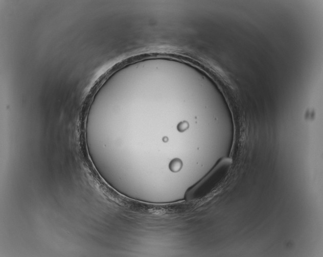 X0000115301264200911161649