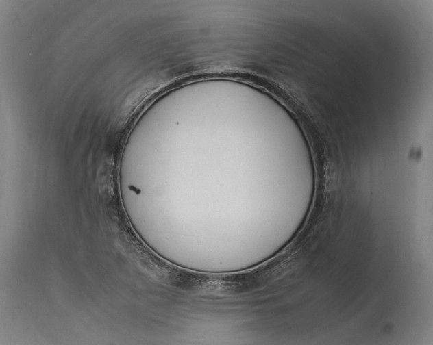 X0000115301265200911161649