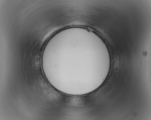 X0000115301266200911161649