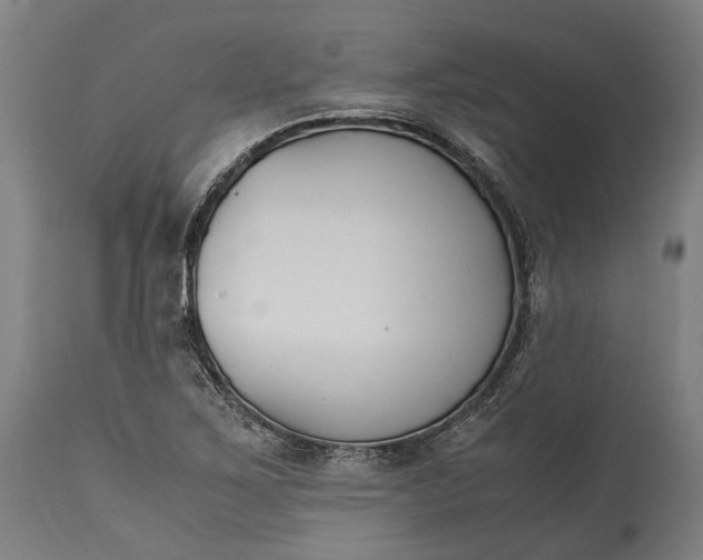 X0000115301267200911161649