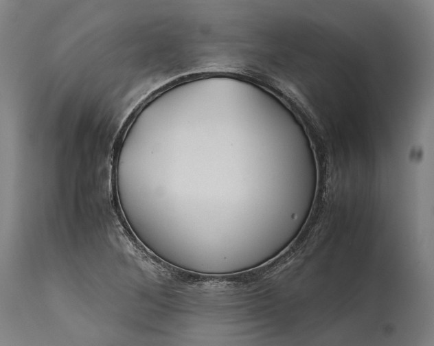 X0000115301268200911161649