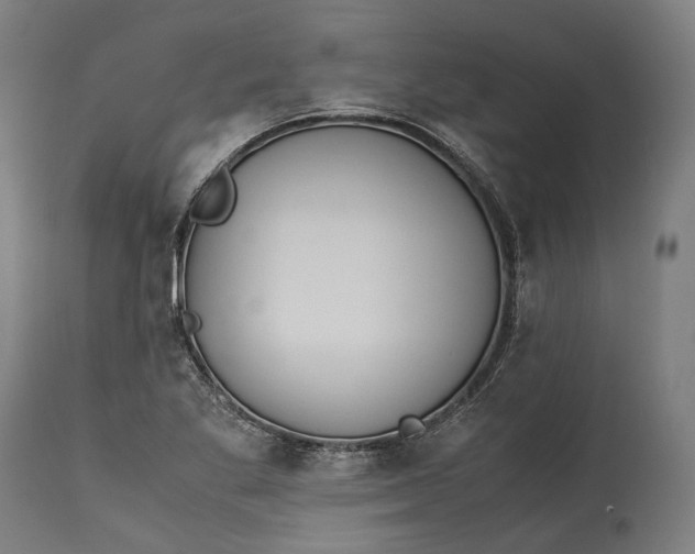 X0000115301269200911161649