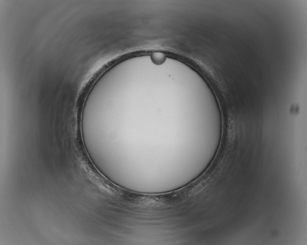 X0000115301270200911161649