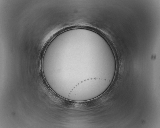 X0000115301271200911161649