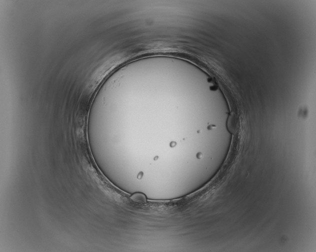 X0000115301273200911161649