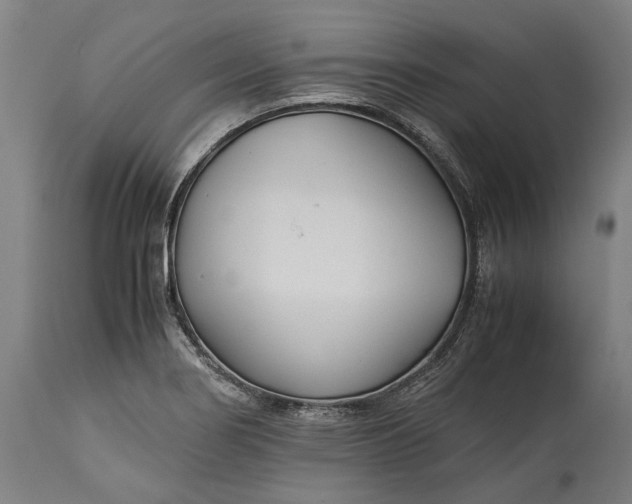 X0000115301274200911161649