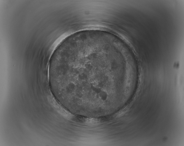 X0000115301275200911161649