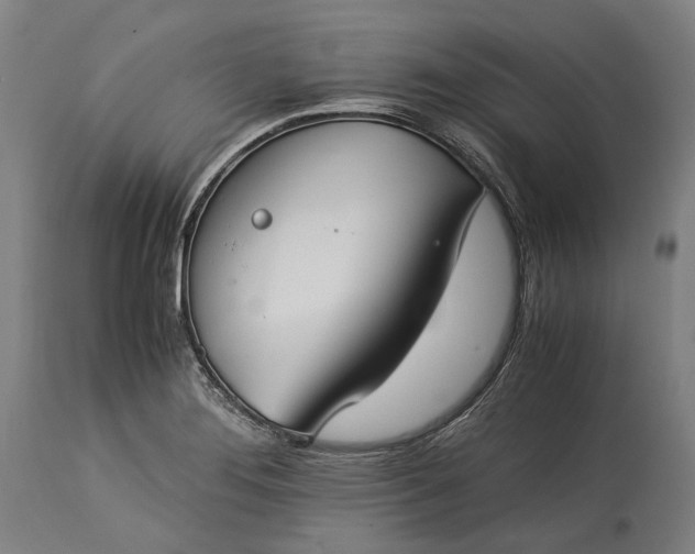 X0000115301276200911161649