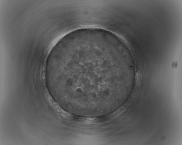 X0000115301279200911161649