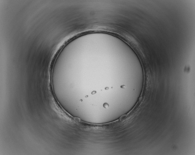 X0000115301280200911161649