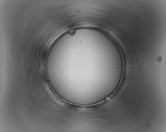 X0000115301281200911161649