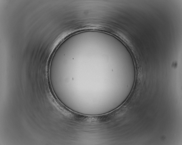 X0000115301283200911161649