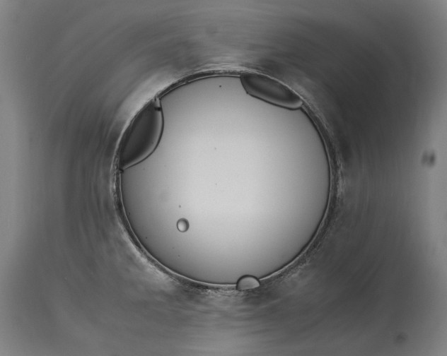 X0000115301285200911161649