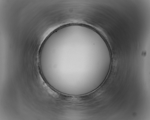 X0000115301287200911161648