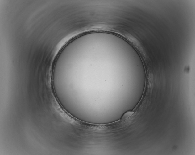 X0000115301288200911161648