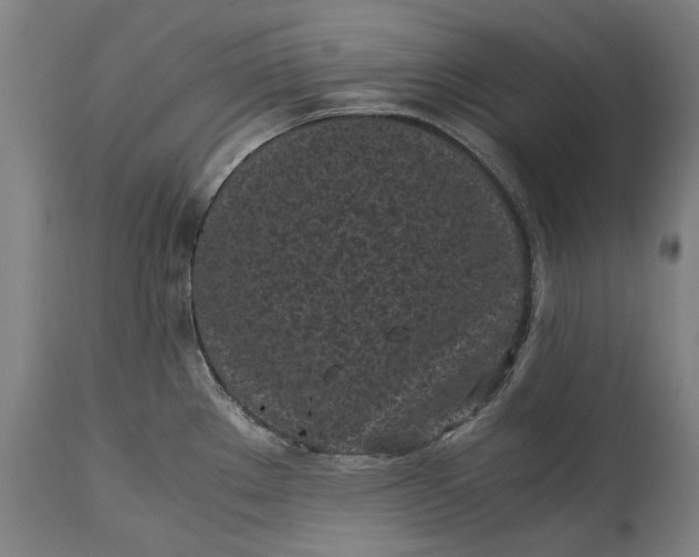 X0000115301289200911161648