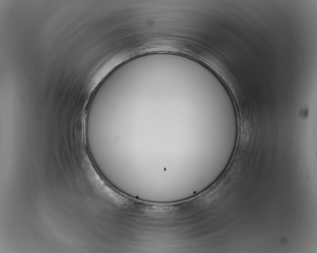 X0000115301290200911161648