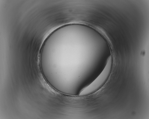 X0000115301292200911161648