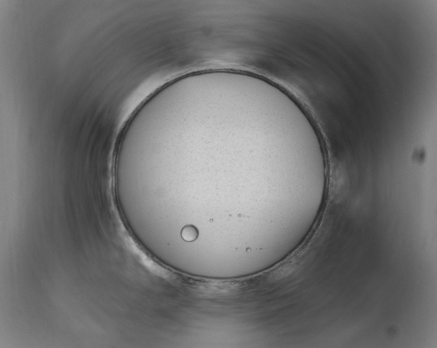 X0000115301294200911161648