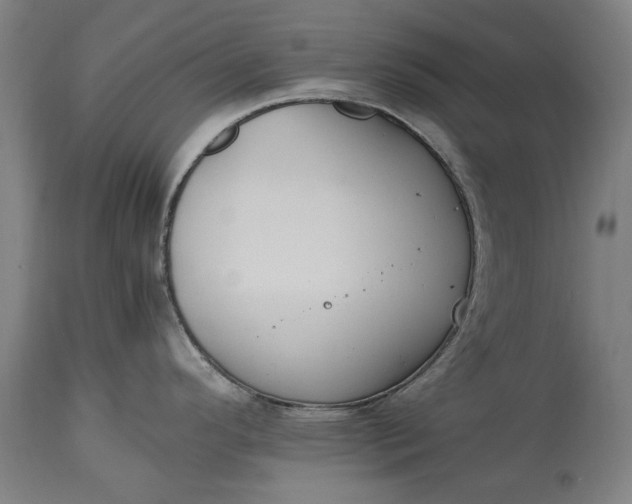 X0000115301296200911161648