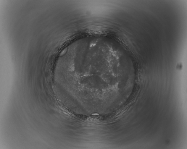 X0000115301297200911161648