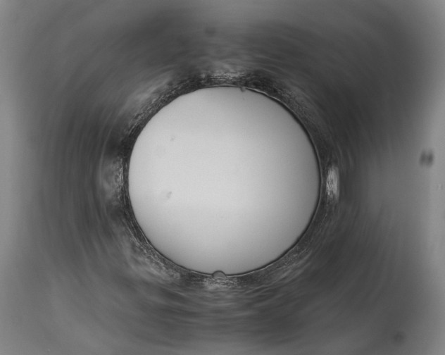 X0000115301299200911161648