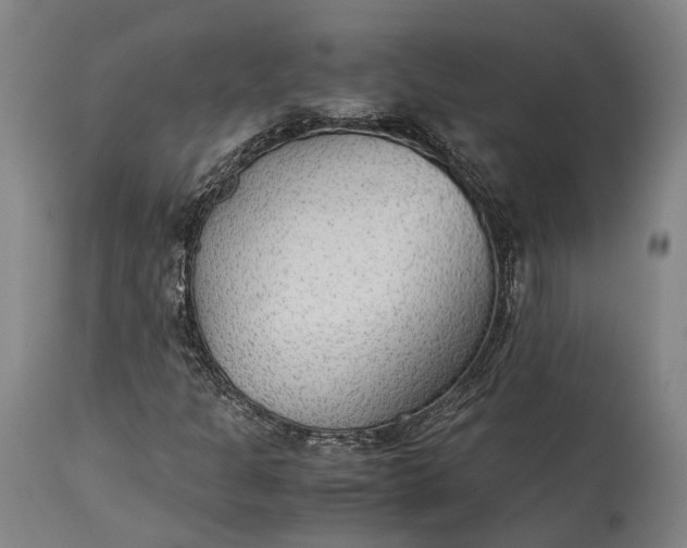 X0000115301301200911161648