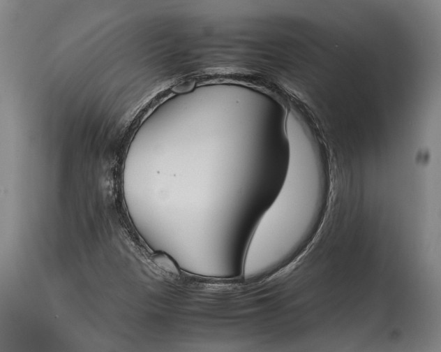 X0000115301305200911161648