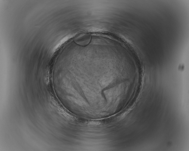 X0000115301306200911161648