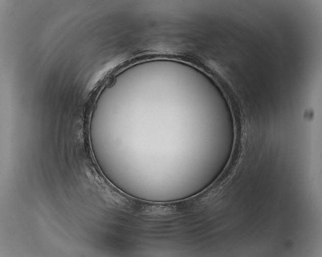 X0000115301307200911161648