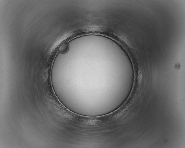 X0000115301309200911161648