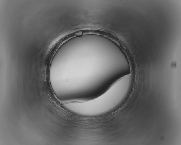 X0000115301310200911161648