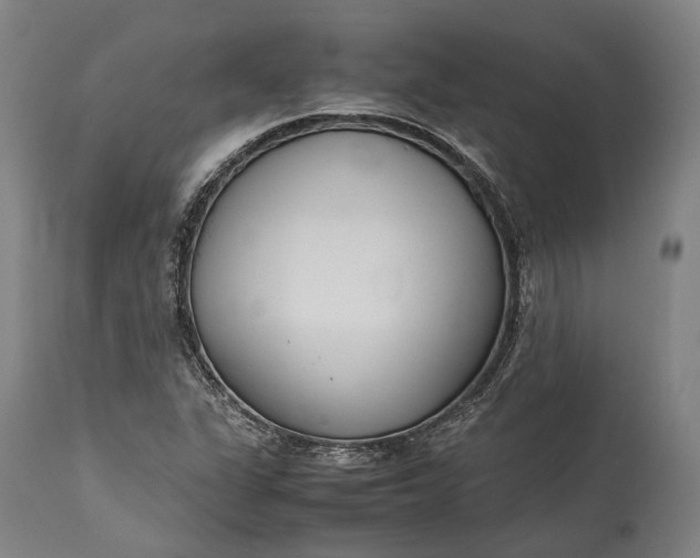 X0000115301311200911161648