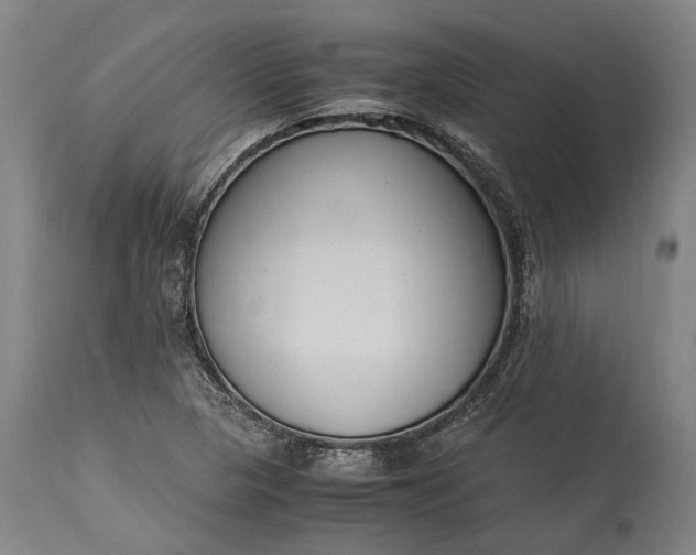 X0000115301313200911161648