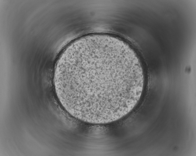 X0000115301314200911161648