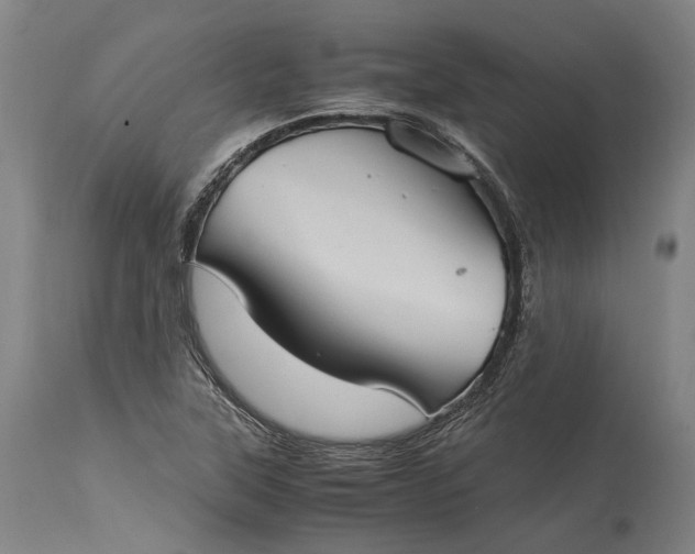 X0000115301315200911161648