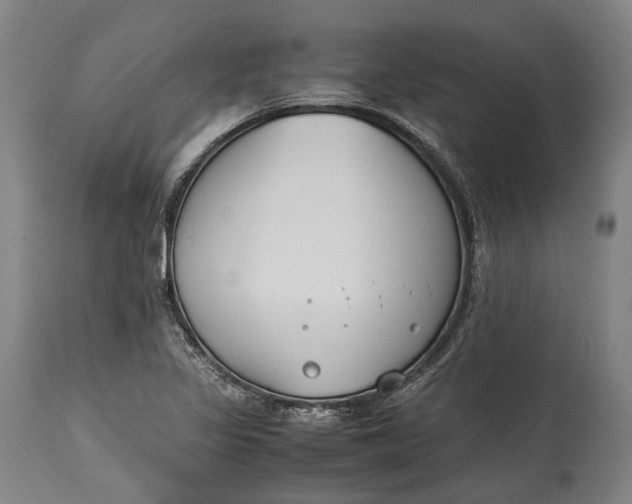 X0000115301317200911161648