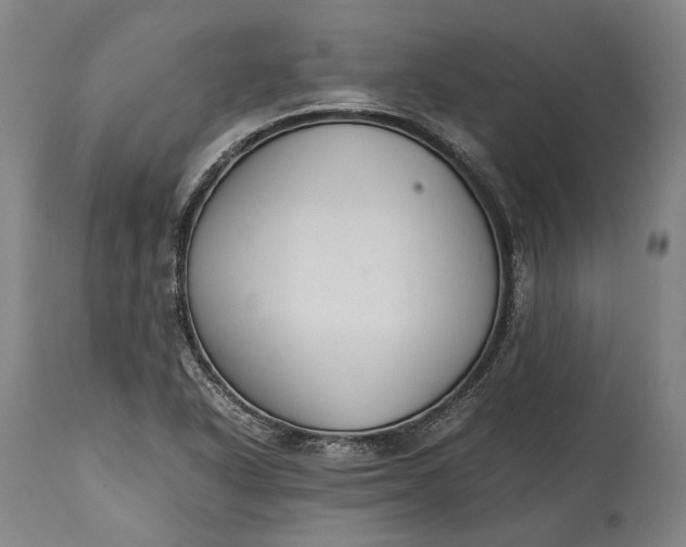 X0000115301318200911161648